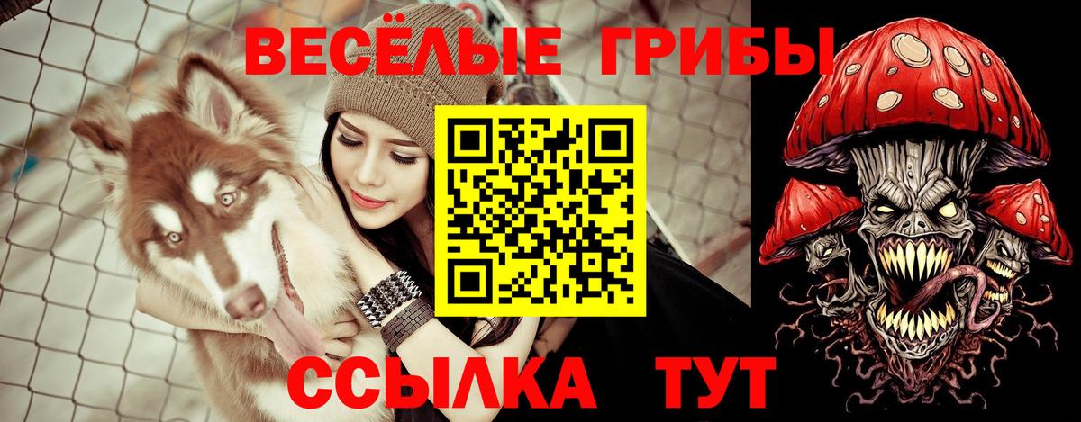 Псилоцибиновые грибы MAGIC MUSHROOMS Уссурийск
